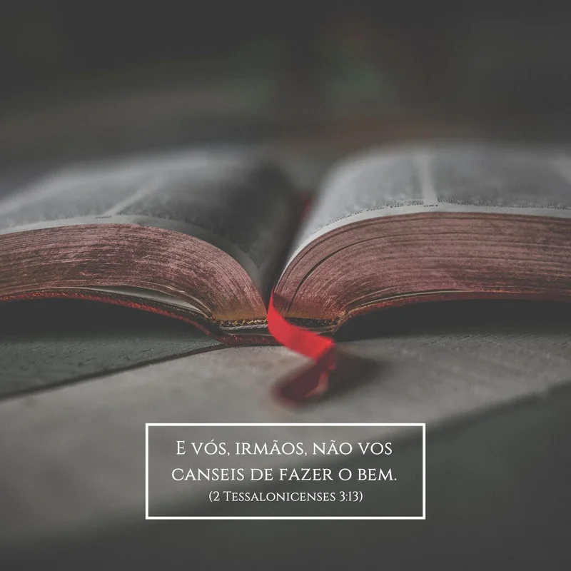 Mensagem: E Vós, Irmãos, Não Vos Canseis de Fazer o Bem | Mensagens | Arte para Igreja Editável no Canva | Feed Mensagem: E Vós, Irmãos, Não Vos Canseis de Fazer o Bem | Mensagens | Arte para Igreja Editável no Canva | Feed