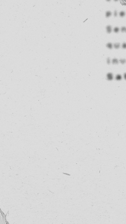Culto de Oração | Stories Animados | Arte para Igreja Editável no Canva | Story Animado